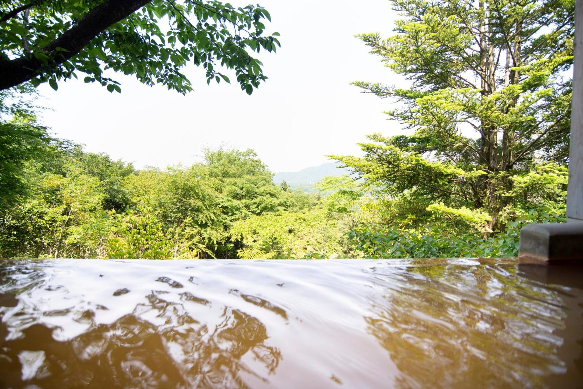 Hotel Arima Onsen Motoyu Ryuusenkaku Kóbe Pokoj fotografie